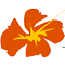 carrier_logo